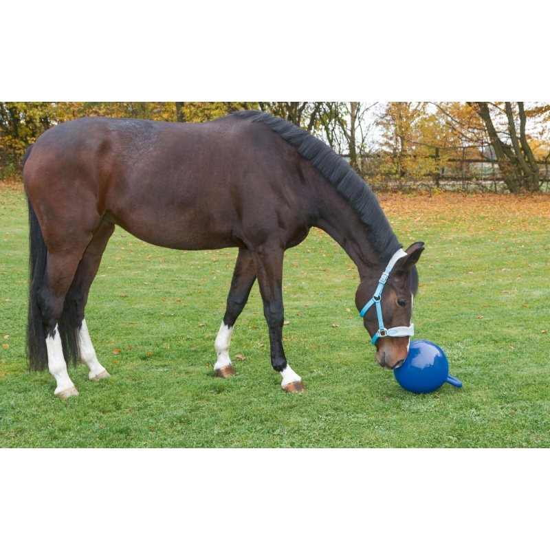 Speelbal paarden, blauw, 25cm - 32399